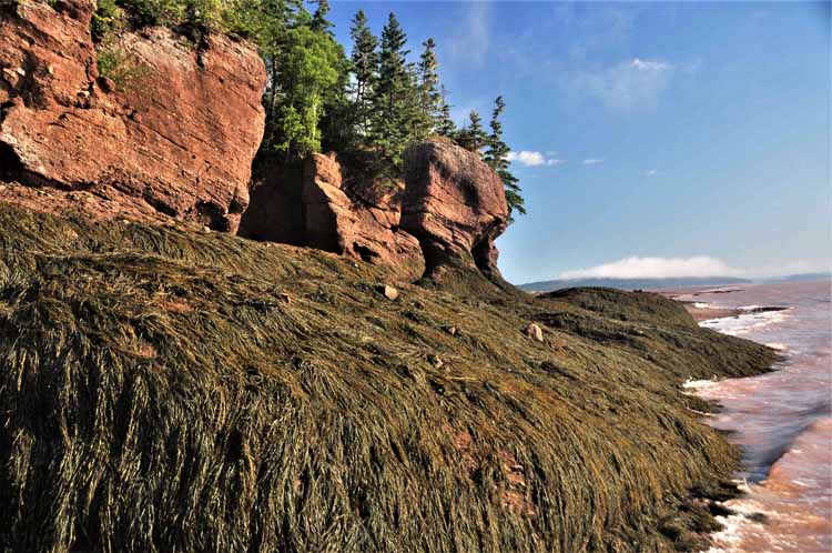 hopewell rocks